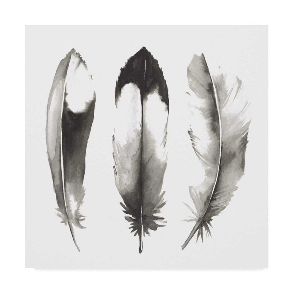 Trademark Fine Art Watercolor Feathers II by Grace Popp, 24x24