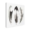Trademark Fine Art Watercolor Feathers II by Grace Popp, 24x24 view 2
