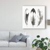 Trademark Fine Art Watercolor Feathers II by Grace Popp, 24x24 view 3