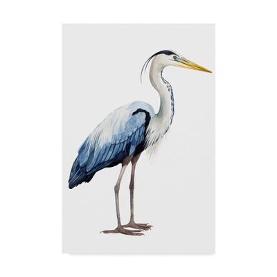 Trademark Fine Art Seabird Heron II by Grace Popp, 16x24