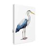 Trademark Fine Art Seabird Heron II by Grace Popp, 16x24 view 2