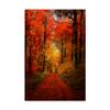 Trademark Fine Art Forest Garden by Philippe Sainte-Laudy, 16x24 view 1