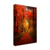 Trademark Fine Art Forest Garden by Philippe Sainte-Laudy, 16x24 view 2