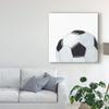 Trademark Fine Art Sporting VI by Naomi McCavitt, 24x24 view 3
