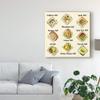 Trademark Fine Art Sushi II by Melissa Wang, 18x18 view 3