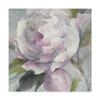 Trademark Fine Art Twilight Peony by Albena Hristova, 24x24 view 1