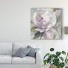 Trademark Fine Art Twilight Peony by Albena Hristova, 24x24 view 3