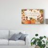Trademark Fine Art Fall Garden I by Katie Pertiet, 16x24 view 3