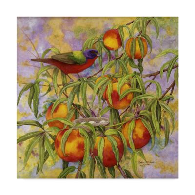 Trademark Fine Art Painted Bunting and Peaches by Marcia Matcham, 18x18