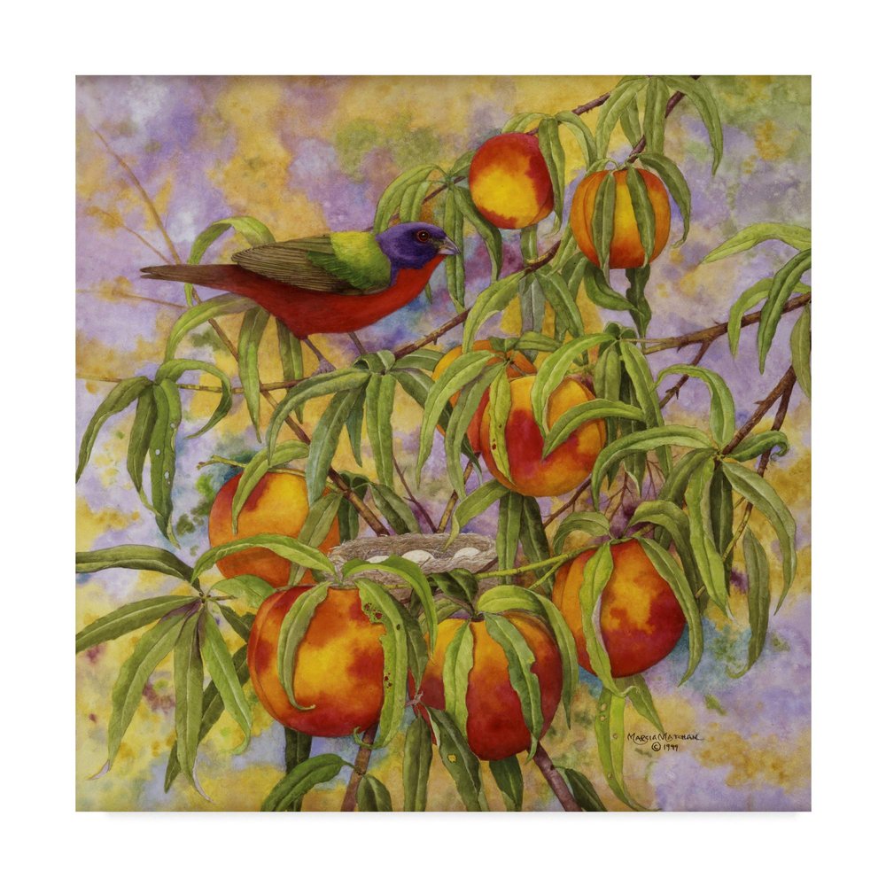 Trademark Fine Art Painted Bunting and Peaches by Marcia Matcham, 18x18