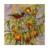 Trademark Fine Art Painted Bunting and Peaches by Marcia Matcham, 18x18 view 1