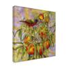 Trademark Fine Art Painted Bunting and Peaches by Marcia Matcham, 18x18 view 2