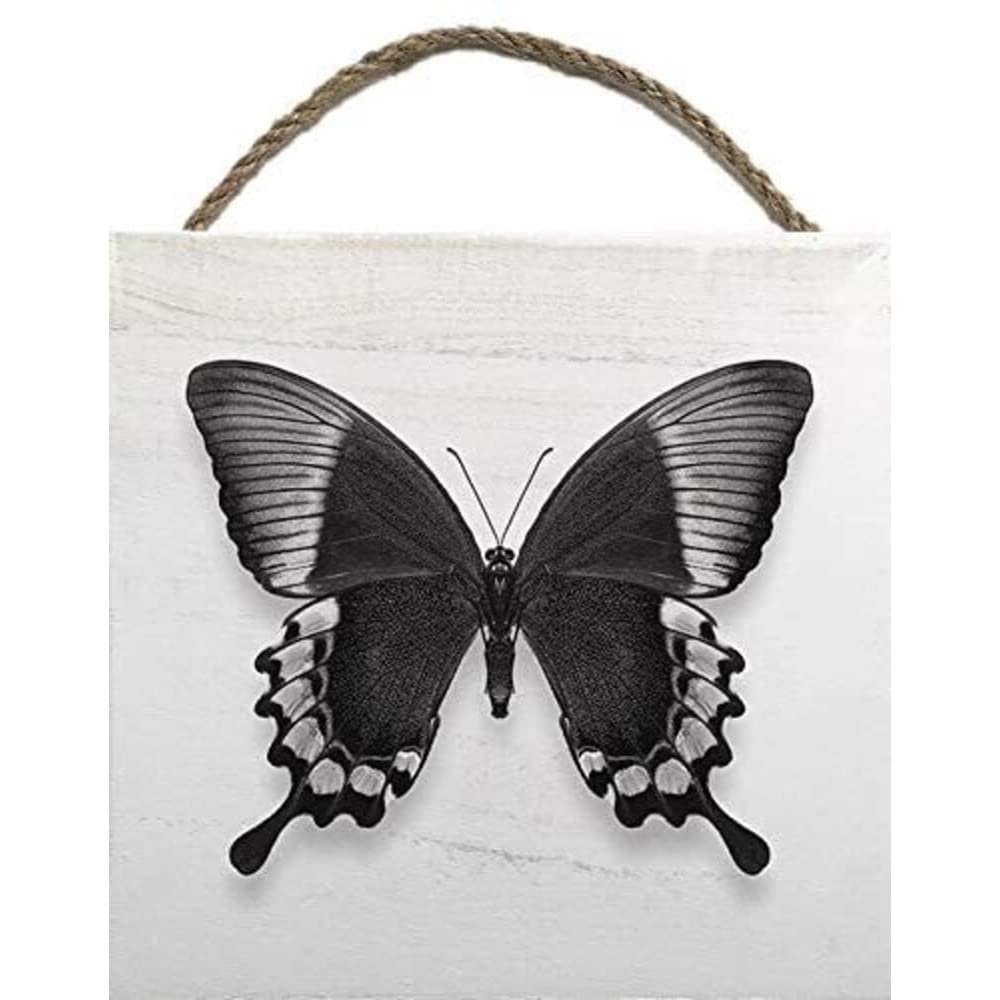 Alyson Fennell Papillon II Wooden Block, Multi-Color, 20 x 20cm