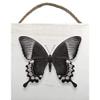 Alyson Fennell Papillon II Wooden Block, Multi-Color, 20 x 20cm view 1