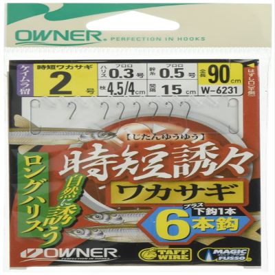Owner No. 36231 Time-Saving Inviting Wakasagi 6 Pieces