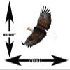 Lets Print Big Bald Eagle 2 Wall Decal REPOSITIONABLE (Outside, 12" h x 13.4" w) view 2