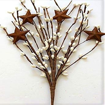 Foppapedretti 18" White Holly Berries with Rusty Stars Seasonal Decor N503 Berry PickF