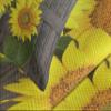 Ambesonne Sunflower Bedspread Set, Helianthus Sunflowers Against Weathered Aged Fence Summer Garden Photo, 3 Piece Decorative Bedding Coverlet and 2 Pillow Shams, Twin Size, Brown Yellow Green view 3