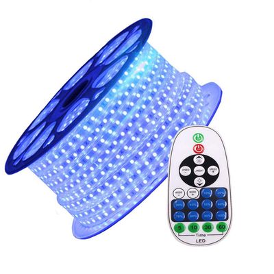 XUNATA 164ft Flexible LED Strip Lights, AC 110-120V 60 LEDs/M Dimmable Waterproof SMD 5050 LED Rope Light with Remote Controller for Party Home Decoration (Blue)