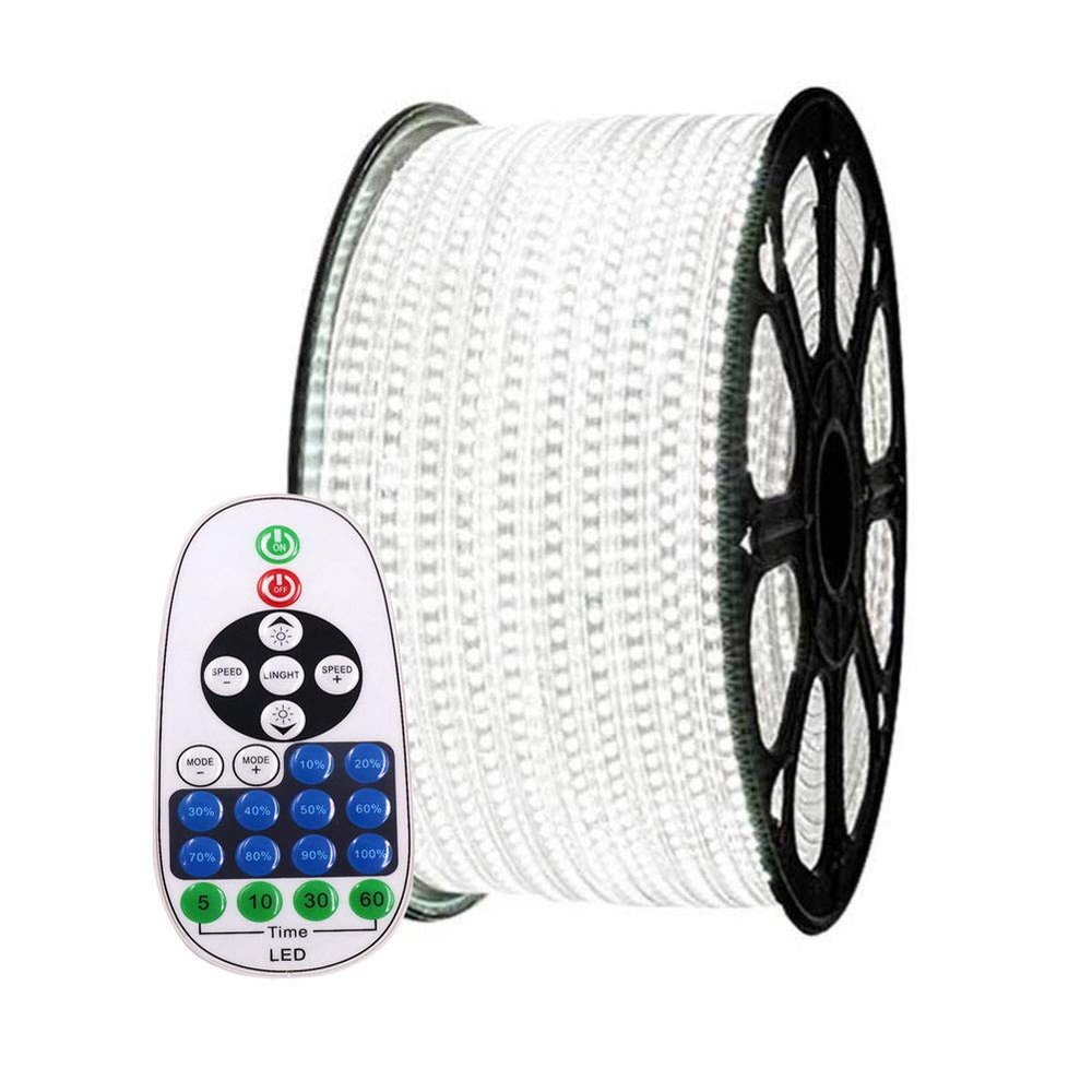 XUNATA 99ft Flexible LED Strip Lights, AC 110-120V 60 LEDs/M Dimmable Waterproof SMD 5050 LED Rope Light with Remote Controller for Party Home Decoration (White)