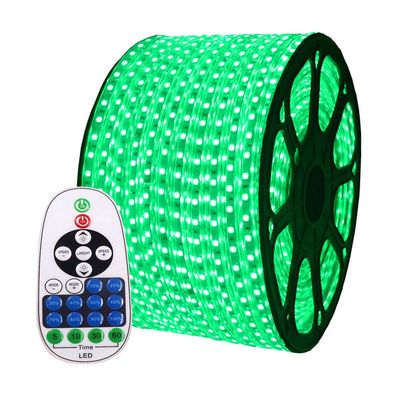 XUNATA 164ft Flexible LED Strip Lights, AC 110-120V 60 LEDs/M Dimmable Waterproof SMD 5050 LED Rope Light with Remote Controller for Party Home Decoration (Green)