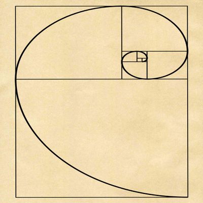 Wallbuddy Fibonacci Poster Golden Spiral Poster Mathematics Poster Maths Poster Fibonacci Series Science Poster Science Print Scientific Art WB203 (8 x 10, Parchment)