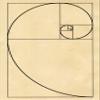 Wallbuddy Fibonacci Poster Golden Spiral Poster Mathematics Poster Maths Poster Fibonacci Series Science Poster Science Print Scientific Art WB203 (8 x 10, Parchment) view 1