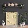 Wallbuddy Fibonacci Poster Golden Spiral Poster Mathematics Poster Maths Poster Fibonacci Series Science Poster Science Print Scientific Art WB203 (8 x 10, Parchment) view 2