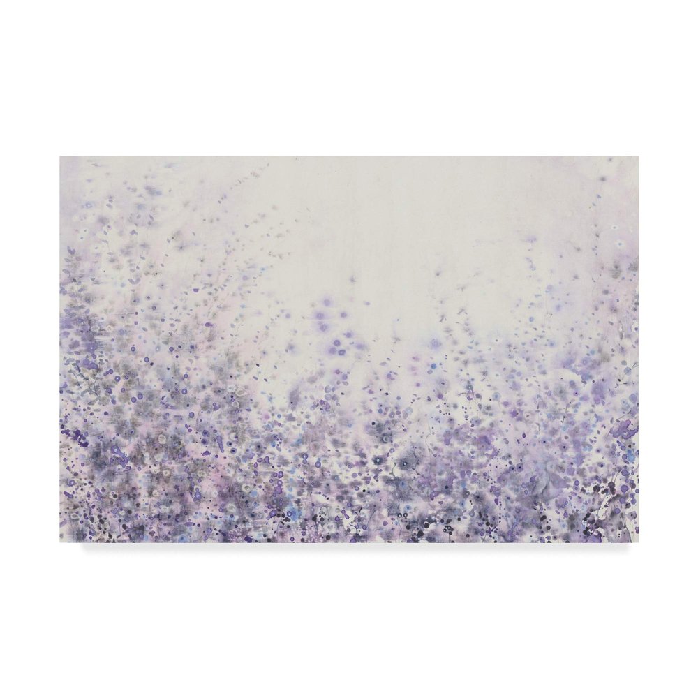 Trademark Fine Art Soft Focus II by Tim Otoole, 16x24