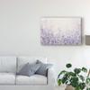 Trademark Fine Art Soft Focus II by Tim Otoole, 16x24 view 3