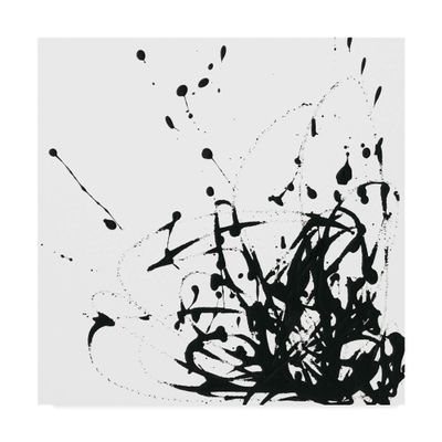 Trademark Fine Art UA CH Onyx Expression II by June Erica Vess, 18x18,