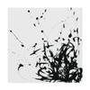 Trademark Fine Art UA CH Onyx Expression II by June Erica Vess, 18x18, view 1