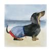 Trademark Fine Art Hot Dog IV by Grace Popp, 18x18 view 1