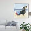 Trademark Fine Art Hot Dog IV by Grace Popp, 18x18 view 3