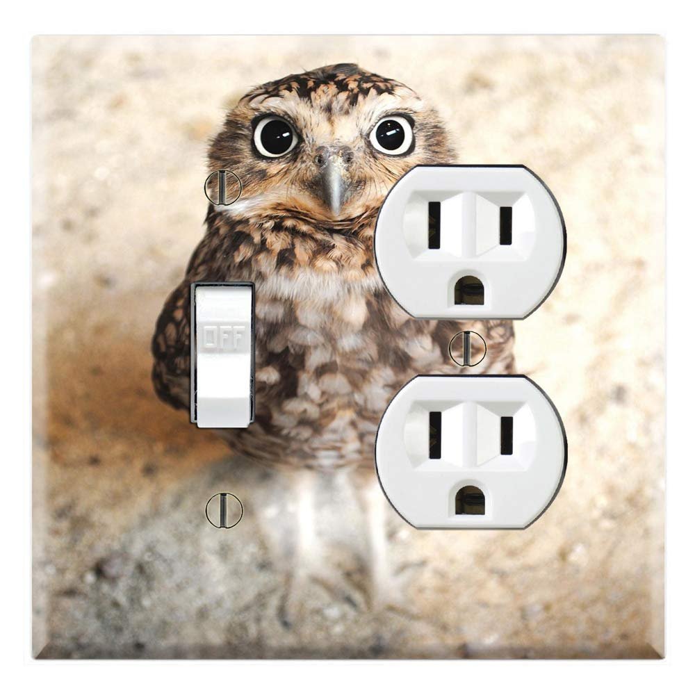 Graphics Wallplates - Cute Baby Owl - Toggle Outlet Combo Wall Plate Cover
