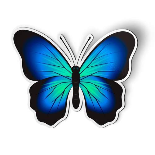 Blue Butterfly Beautiful - Magnet - Car Fridge Locker - 5.5"