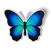 Blue Butterfly Beautiful - Magnet - Car Fridge Locker - 5.5" view 1