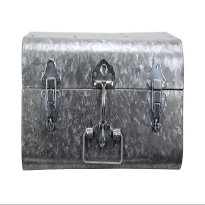 Habitat Dcor Hillard Medium Galvanized Silver Case Alternative Decor, Metallic