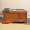 Carolina Classic Ingrid Blanket Chest in Chestnut view 1