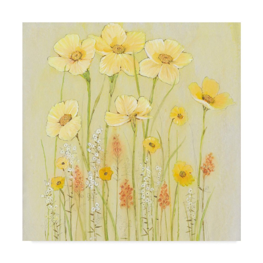 Trademark Fine Art Soft Spring Floral I by Tim Otoole, 24x24