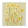 Trademark Fine Art Soft Spring Floral I by Tim Otoole, 24x24 view 1