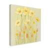 Trademark Fine Art Soft Spring Floral I by Tim Otoole, 24x24 view 2