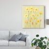 Trademark Fine Art Soft Spring Floral I by Tim Otoole, 24x24 view 3