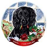 Boykin Spaniel Black Dog Porcelain Ornament Pet Gift Santa I Can Explain!