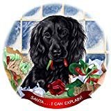 Boykin Spaniel Black Dog Porcelain Ornament Pet Gift Santa I Can Explain!