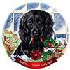 Boykin Spaniel Black Dog Porcelain Ornament Pet Gift Santa I Can Explain! view 1