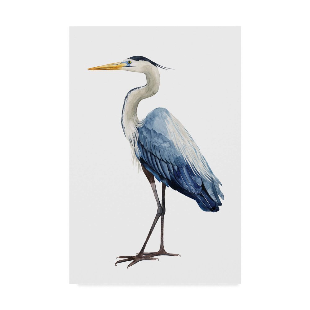 Trademark Fine Art Seabird Heron I by Grace Popp, 16x24