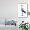 Trademark Fine Art Seabird Heron I by Grace Popp, 16x24 view 3