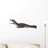 Wallmonkeys Spectacled Caiman Crocodile Wall Decal Peel and Stick Animal Graphics (18 in W x 8 in H) WM502942 view 1