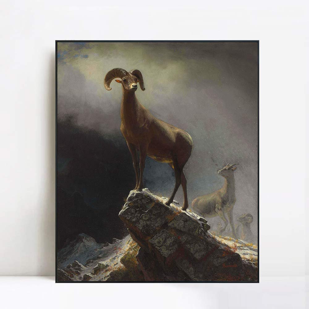 INVIN ART Framed Canvas Giclee Print Rocky Mountain Sheep circa 1882-1883 by Albert Bierstadt Wall Art Living Room Home Office Decorations(Black Slim Frame,20"x24")